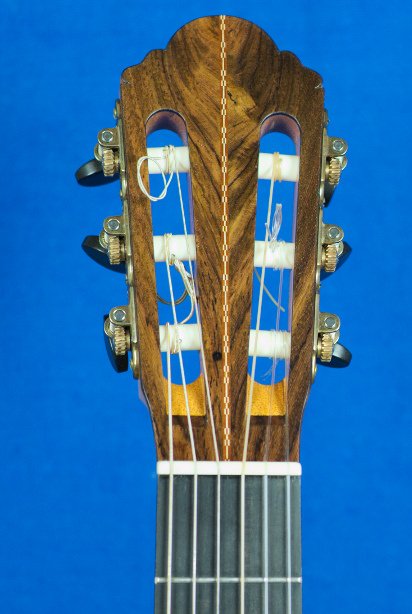 concert model vuren concertmodel kop