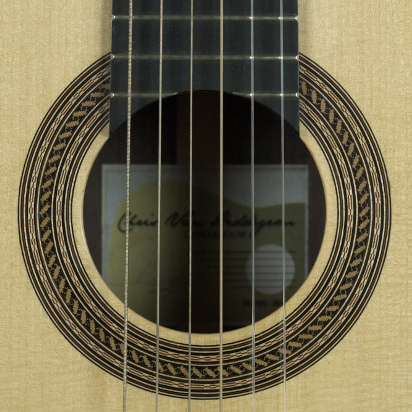 concert model vuren concertmodel rozet