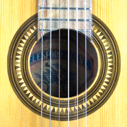 gitaar Telesforo Julve rozet